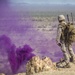 Purple Haze