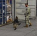 Four-Legged Police Keeps Diego Garcia Safe