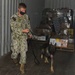 Four-Legged Police Keeps Diego Garcia Safe