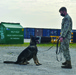 Four-Legged Police Keeps Diego Garcia Safe
