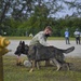 Four-Legged Police Keeps Diego Garcia Safe