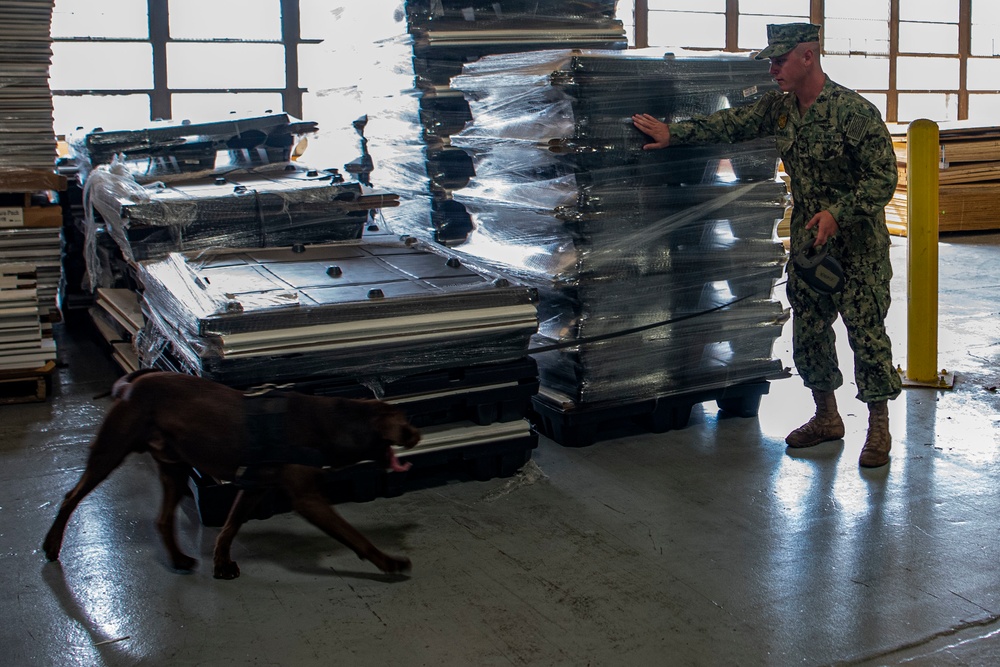 Navy MWD handlers gain certification