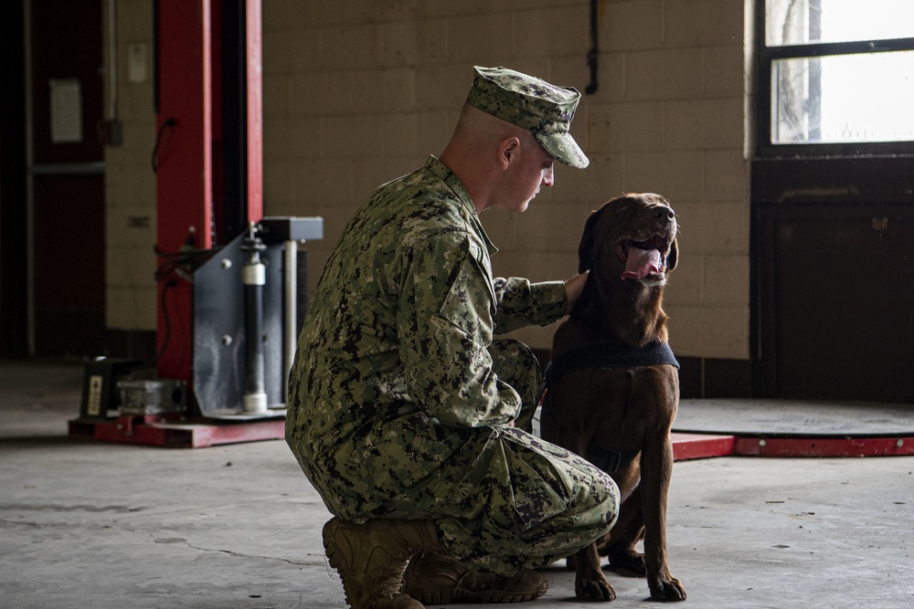 Navy MWD handlers gain certification