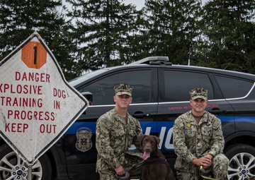 Navy MWD handlers gain certification