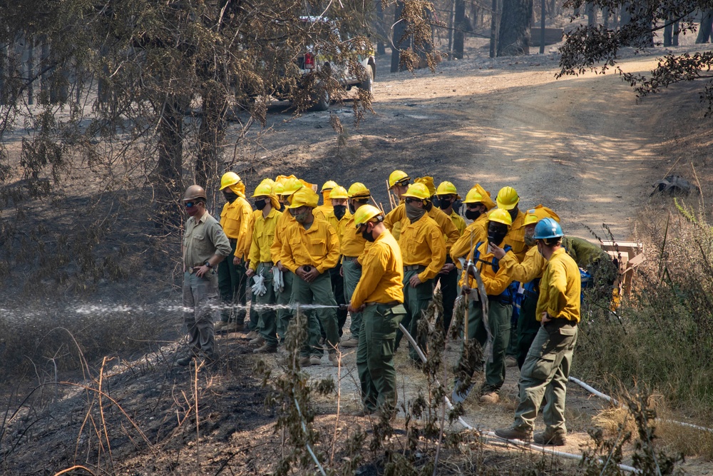 14th BEB Trains for Wildland Firefighting Response