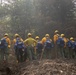 14th BEB Trains for Wildland Firefighting Response Operations