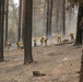 14th BEB Trains for August Complex Wildland Fire Response
