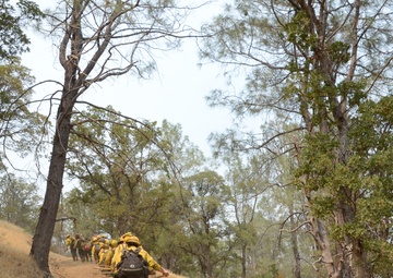 Fresno-based JTF Rattlesnake’s newest members sink their fangs into the LNU Lightning Complex fire