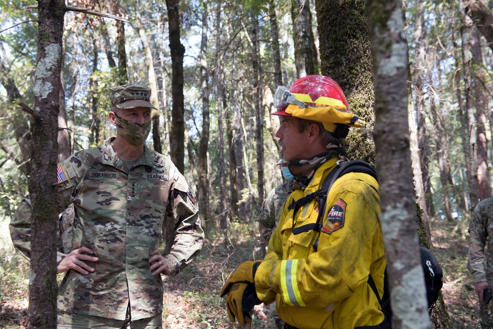 Gen. Hokanson California fires troop visits