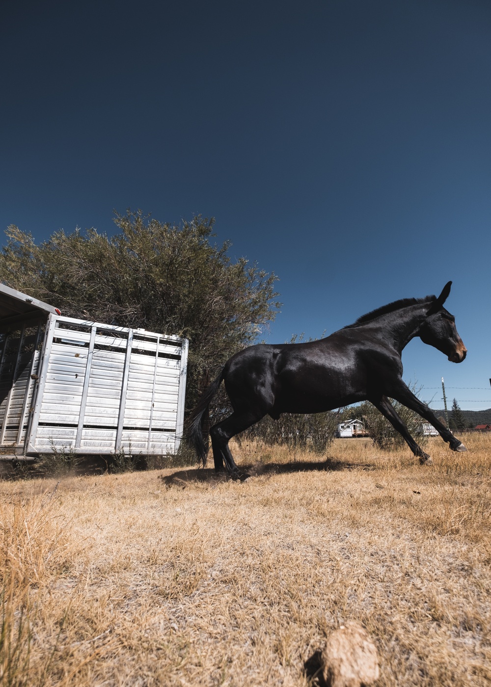 MCMWTC Asset Evacuation