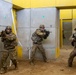 Golden Dragons Complete Squad-Level Training Exercise
