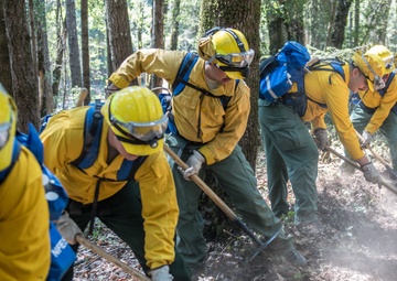 Rescues and wildfires: National Guard responds on West Coast