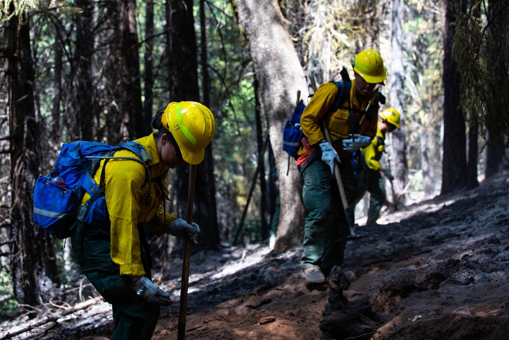 14th BEB and Wildland Firefighters conduct mop-up operations during August Complex wildfire