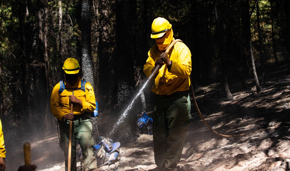 14th BEB and Wildland Firefighters conduct mop-up operations during August Complex wildfire