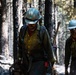 14th BEB and Wildland Firefighters conduct mop-up operations during August Complex wildfire