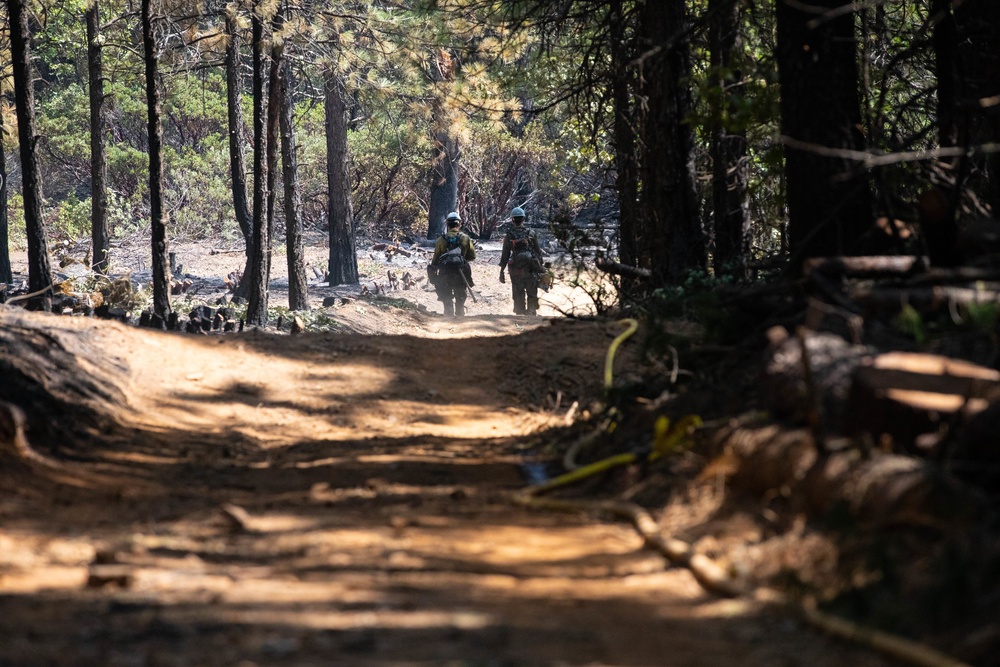 14th BEB and Wildland Firefighters conduct mop-up operations during August Complex wildfire