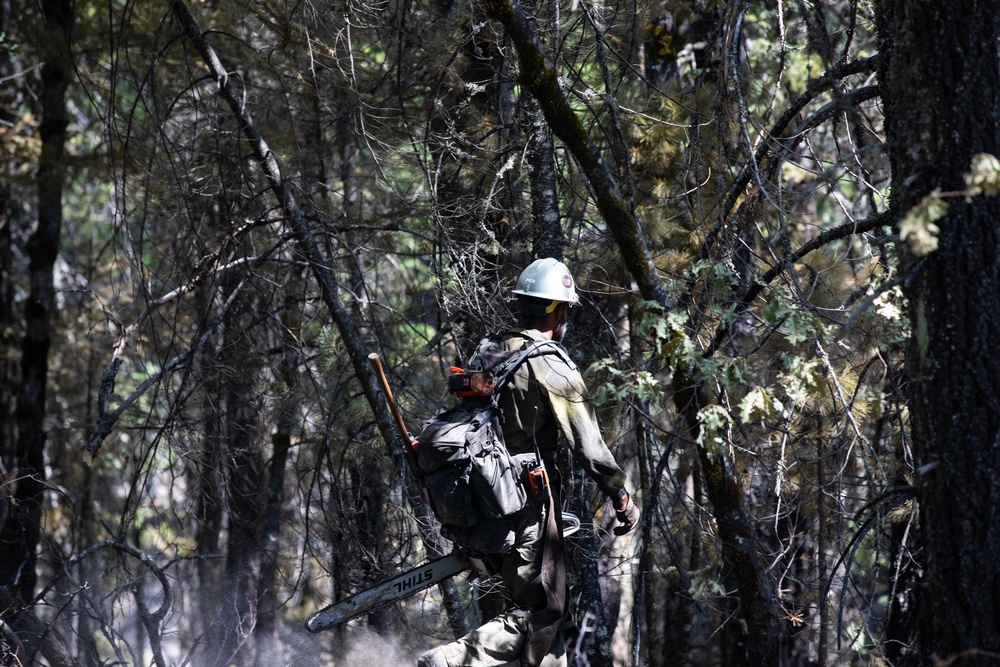 14th BEB and Wildland Firefighters conduct mop-up operations during August Complex wildfire