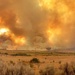 Base firefighters battle Slink Fire near Mountain Warfare Training Center