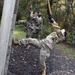 2020 U.S. Army Reserve Best Warrior