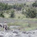 720th EOD technicians dispose of UXO in North Macedonia