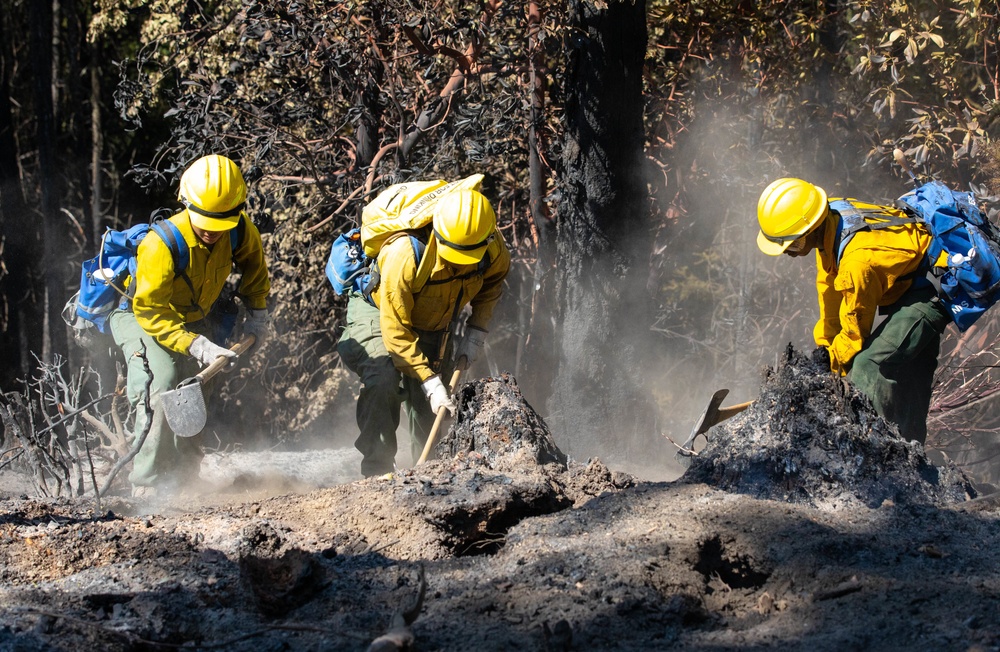 14th BEB and Wildland Firefighters conduct mop-up operations during August Complex wildfire