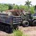 Cleaning and Dereadging Coamo River