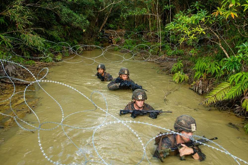 Welcome to the Jungle: V12 executes Infantry Jungle Skills Course