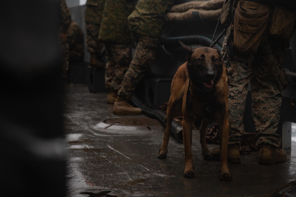 CLB-31 exercise HADR training on Kin Blue