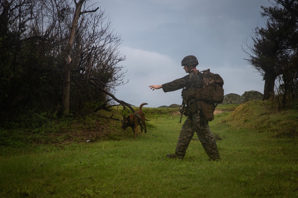 CLB-31 exercise HADR training on Kin Blue