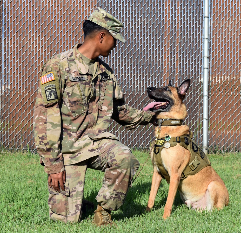 901st MP Detachment bids military working dog Vito farewell