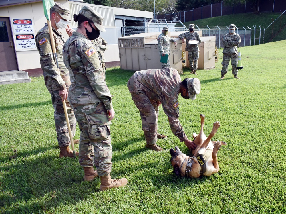 901st MP Detachment bids military working dog Vito farewell