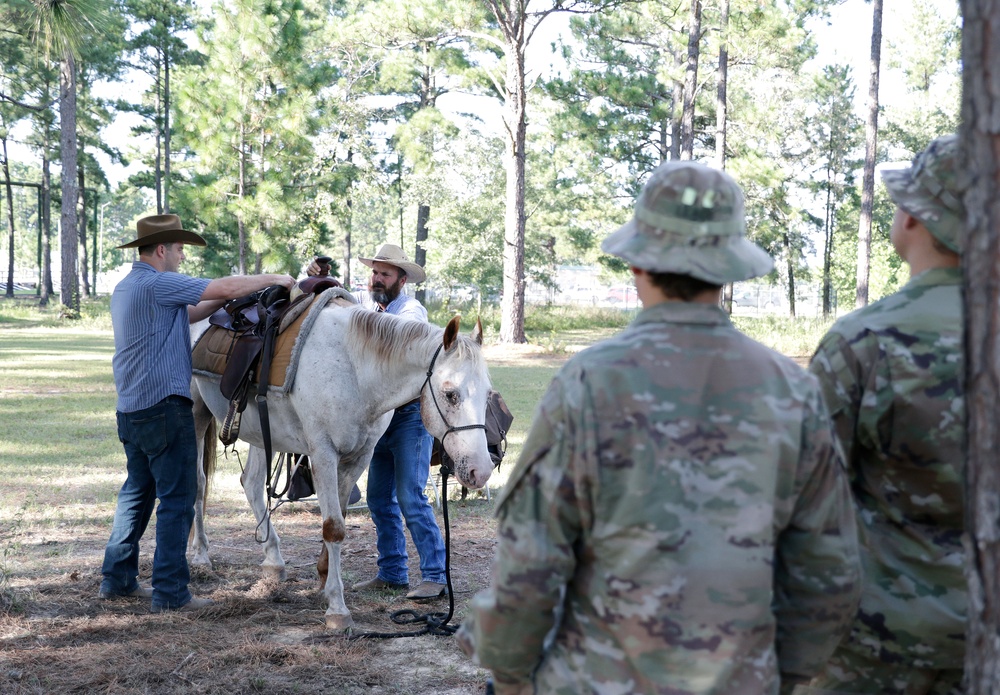 Students Undergo Equine Training Prior to Exercise