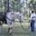 Students Undergo Equine Training Prior to Exercise Students Undergo Equine Training Prior to Exercise