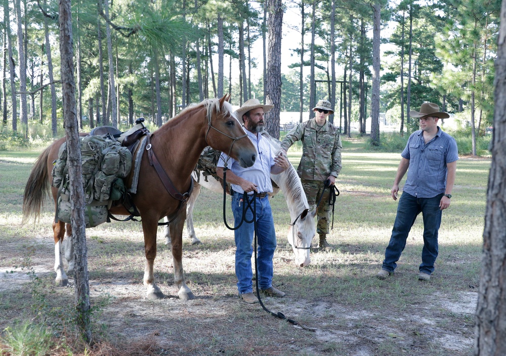 Students Undergo Equine Training Prior to Exercise