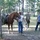 Students Undergo Equine Training Prior to Exercise Students Undergo Equine Training Prior to Exercise