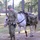 Students Undergo Equine Training Prior to Exercise Students Undergo Equine Training Prior to Exercise