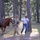 Students Undergo Equine Training Prior to Exercise Students Undergo Equine Training Prior to Exercise