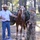 Students Undergo Equine Training Prior to Exercise Students Undergo Equine Training Prior to Exercise
