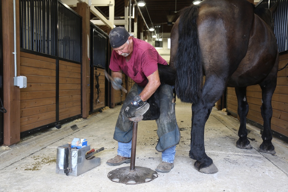 Visit From the Farrier