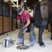 Visit From the Farrier