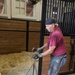 Visit From the Farrier