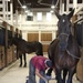 Visit From the Farrier