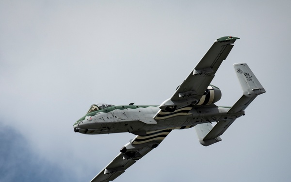 NAS Oceana Air Show 2020