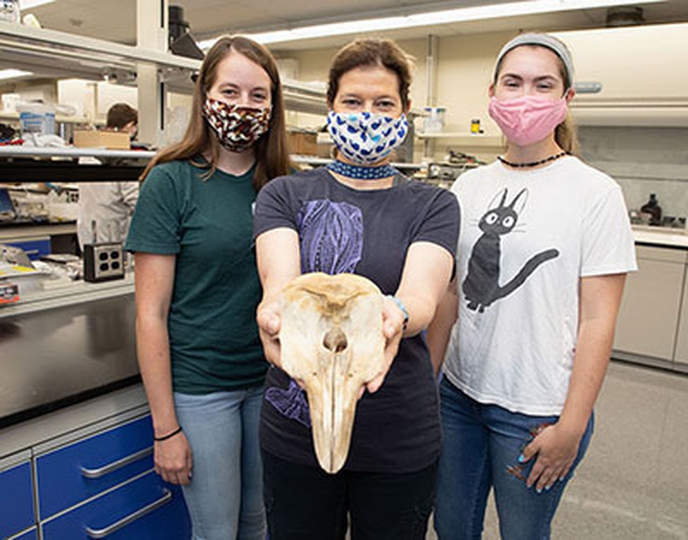 DVIDS - News - NUWC Division Newport oceanographers, biologists ...