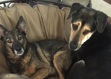 Mimi and Moose in Chair 1