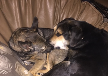Mimi and Moose in Chair 2