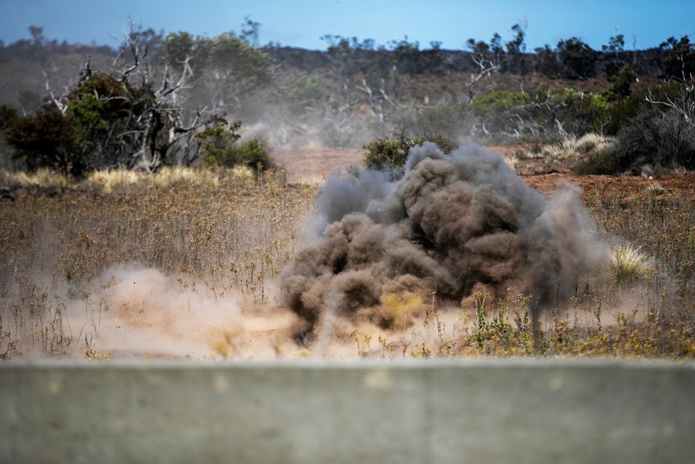Duck and cover: HQ Battery conducts grenade training, PTA