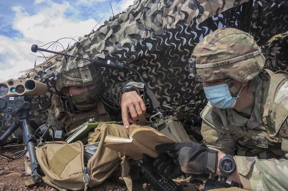 Look out: Marines, Soldiers conduct artillery forward observation, PTA