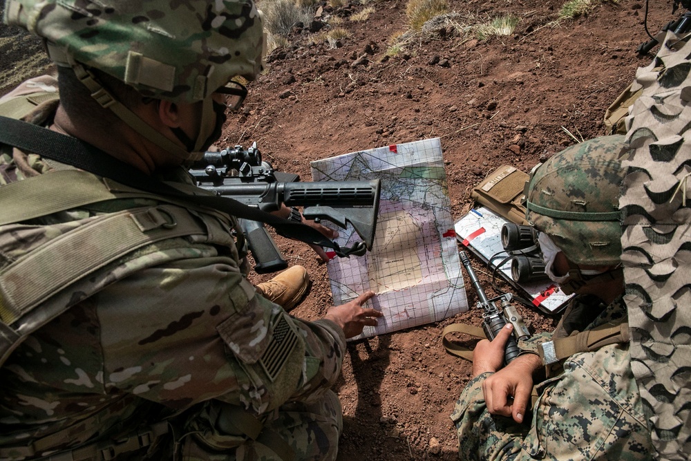 Look out: Marines, Soldiers conduct artillery forward observation, PTA