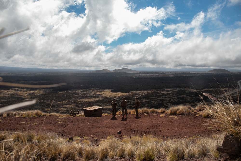 Look out: Marines, Soldiers conduct artillery forward observation, PTA